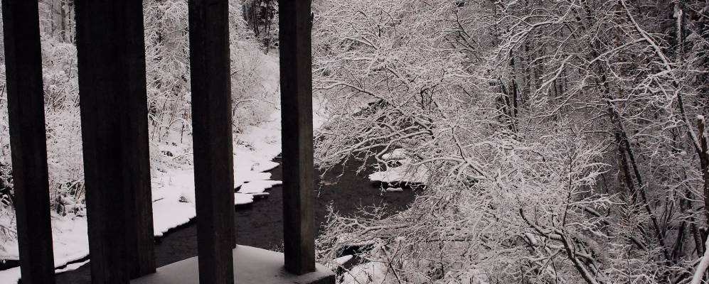 
            Фотография Майнило