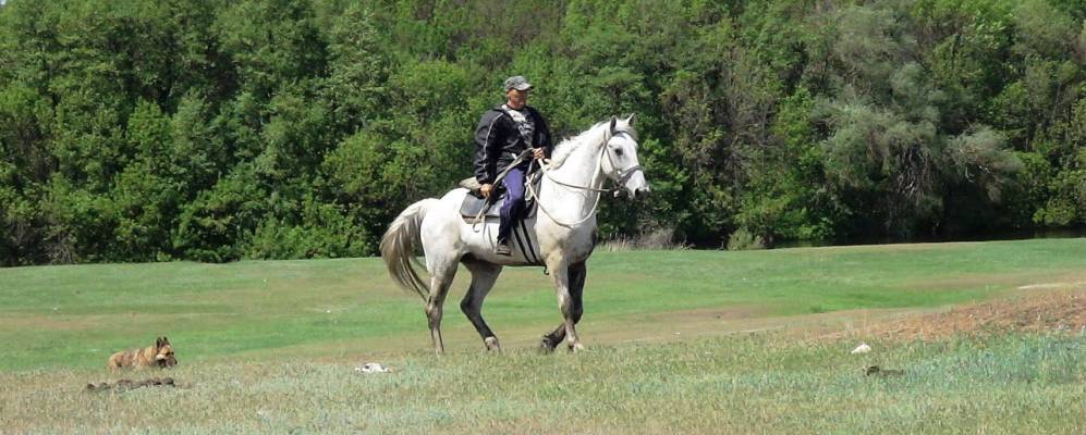 
            Фотография Кочкаринского