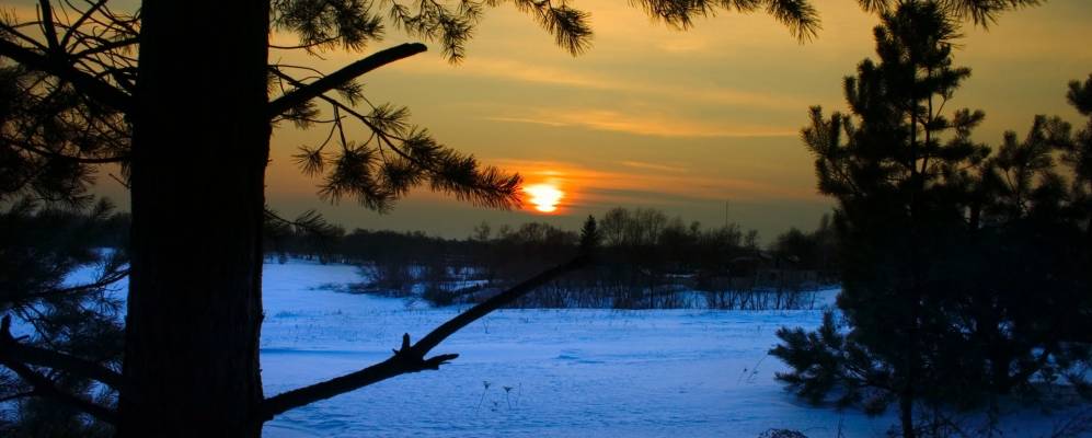 
            Фотография Липовца