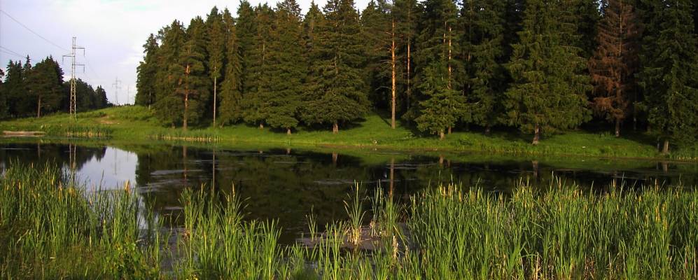 
            Фотография Отяевки