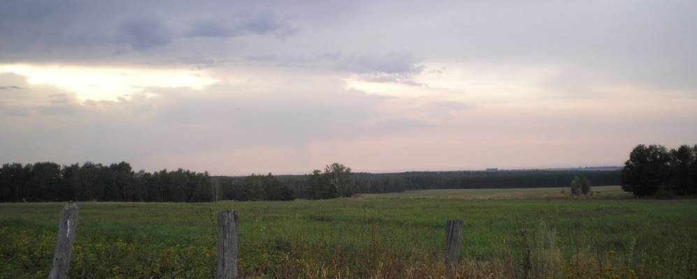 
            Фотография Малиновки