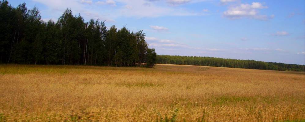 
            Фотография Ядреной Слободы