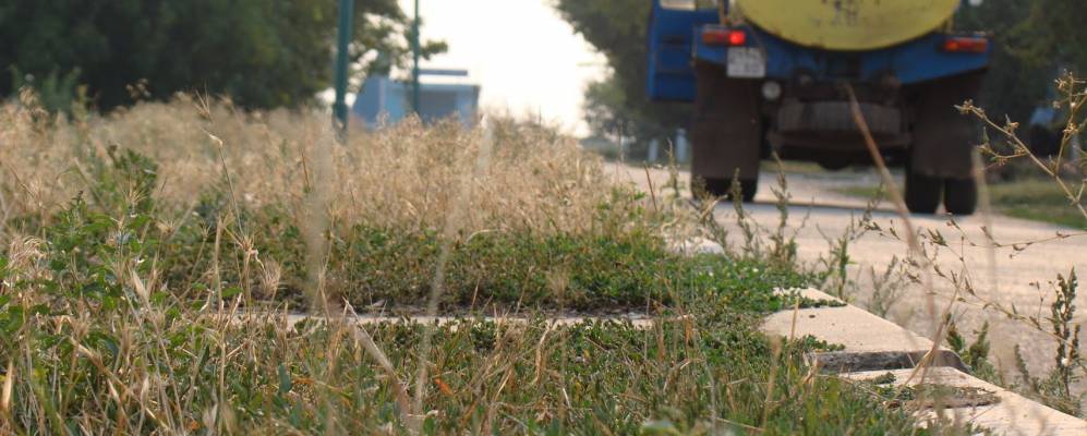 
            Фотография Калиновки