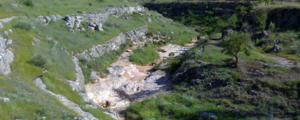 
            Фотография Салара