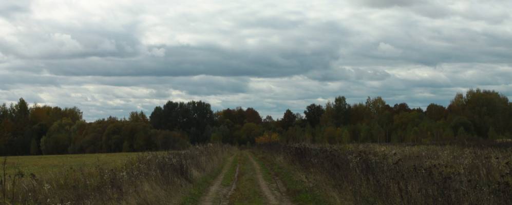 
            Фотография Выгоновского