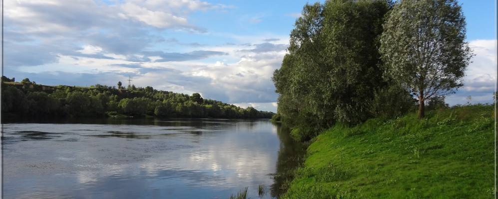 
            Фотография Дробышева