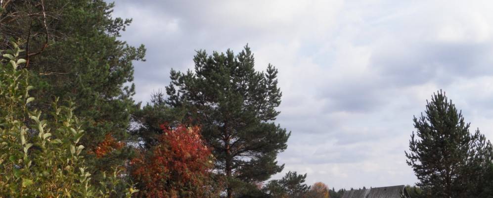 
            Фотография Пелевинской