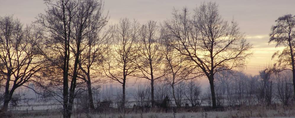 
            Фотография Дриммелена