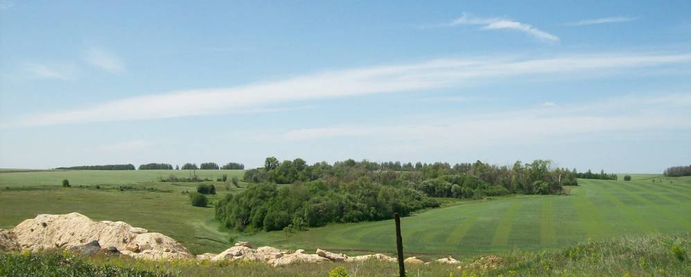 
            Фотография Западного