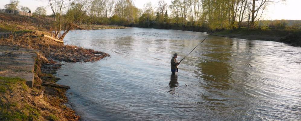 
            Фотография Черемухово