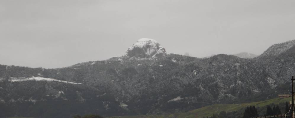 
            Фотография Плати