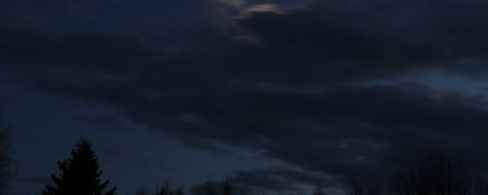 
            Фотография Мосяты