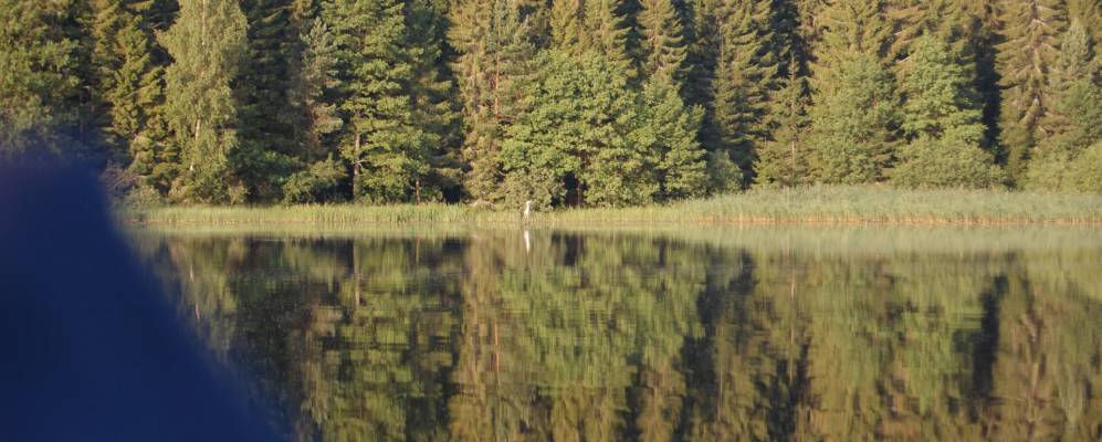 Фотография Балахнино