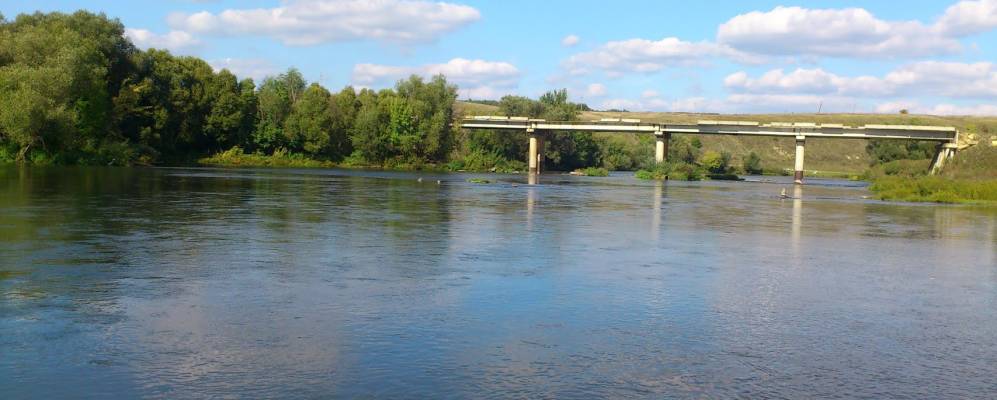 Фотография Мечнянки