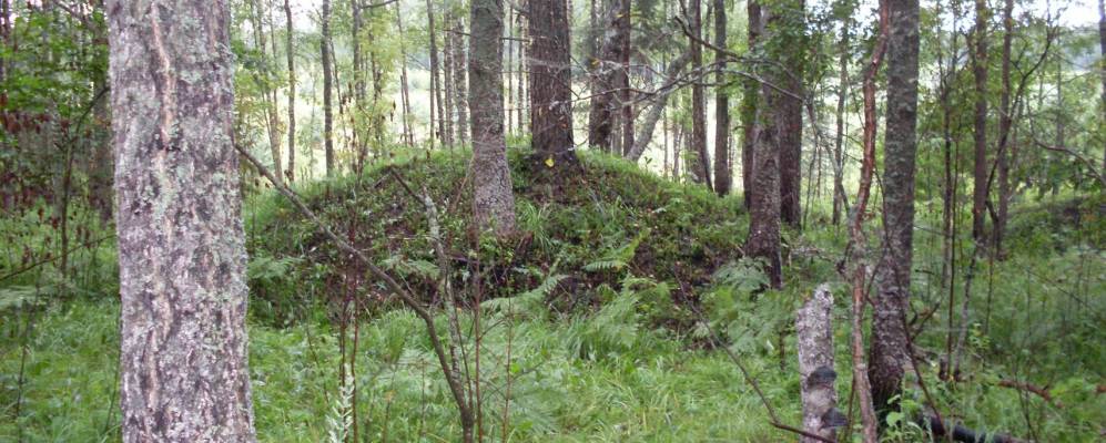 Фотография Михеево