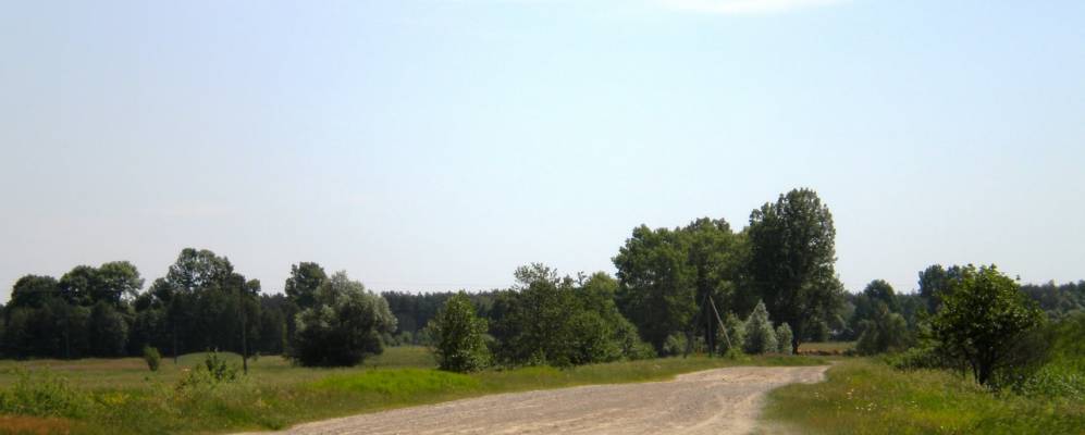 
            Фотография Бора-Кунинского