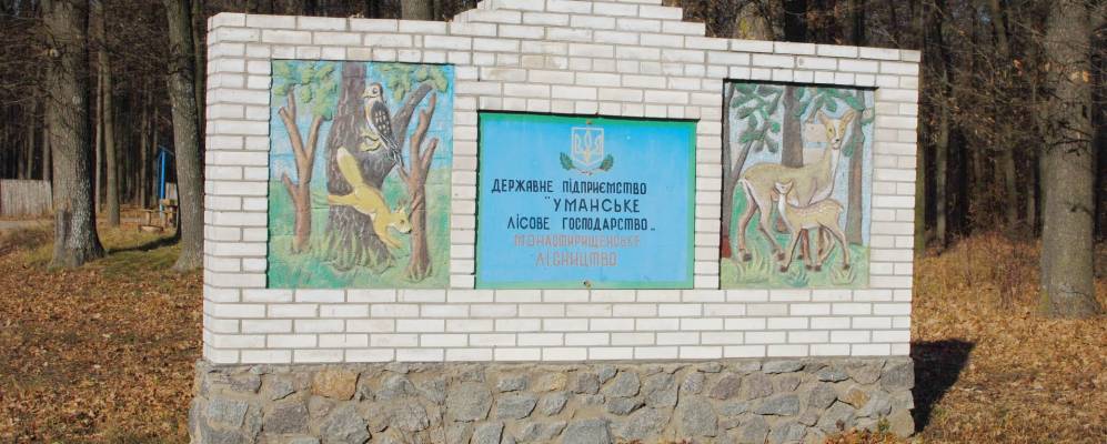 
            Фотография Забеляны