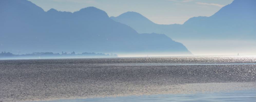 
            Фотография Граведоны