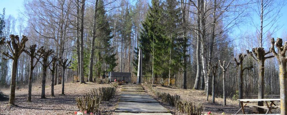 
            Фотография Ашитково