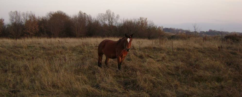 
            Фотография Струковского Первого