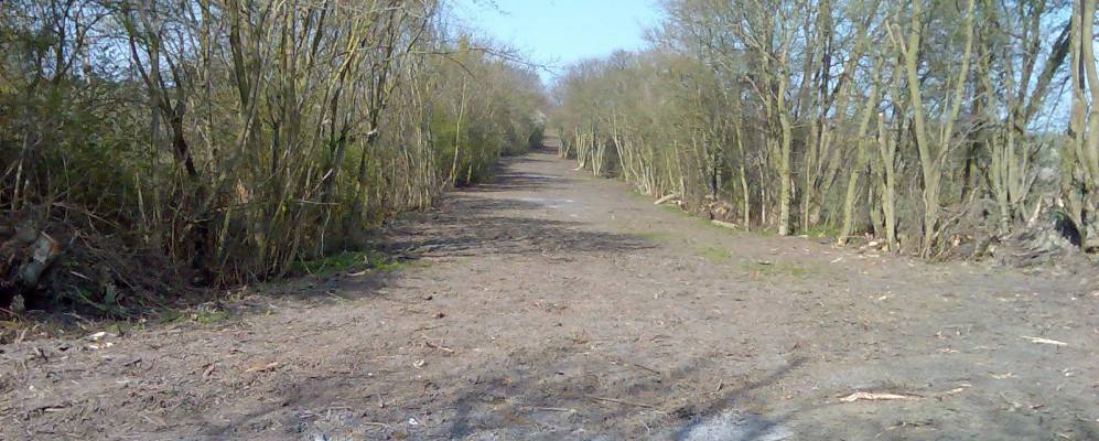 
            Фотография Вичфорда