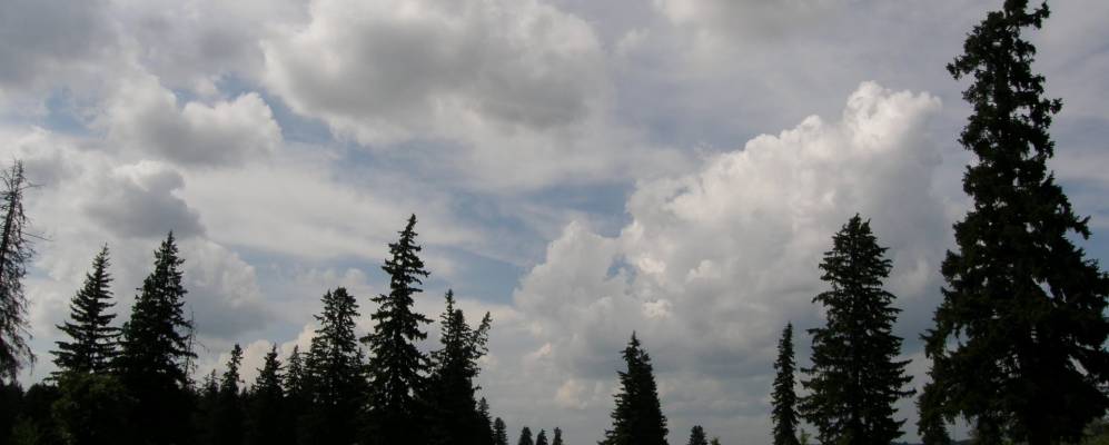 
            Фотография Чахлово