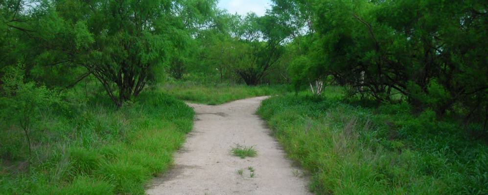 
            Фотография Алтона