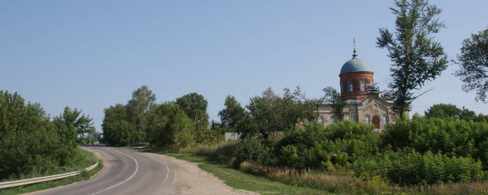 
            Фотография Муравейника