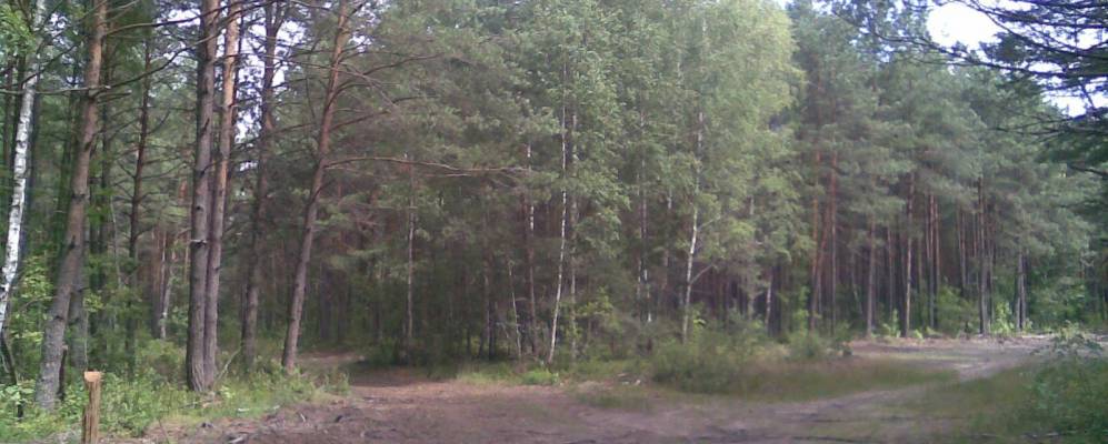 
            Фотография деревни Дроботы