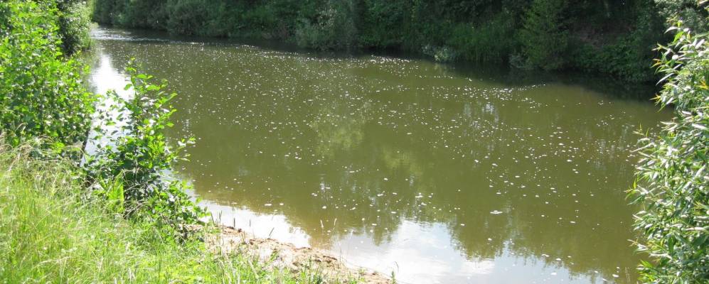 
            Фотография Суворовки