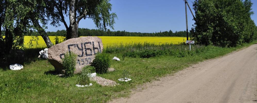Фотография деревни Новики