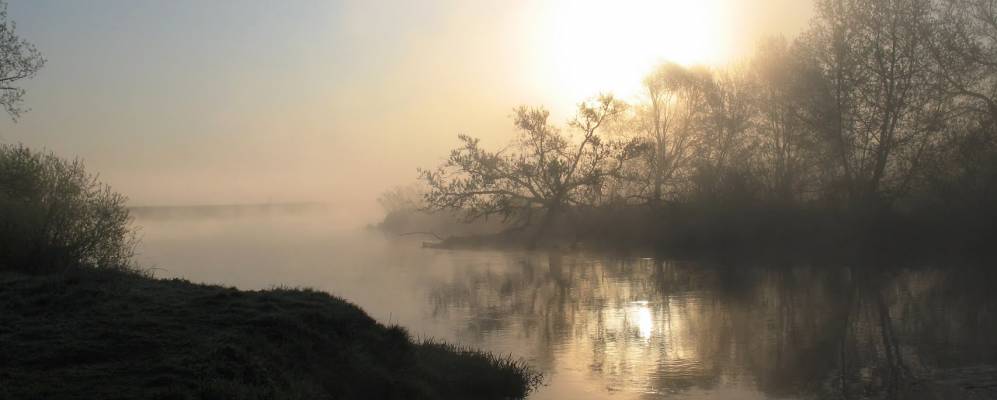
            Фотография Холопца
