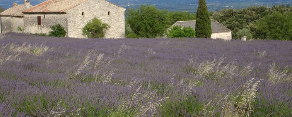 
            Фотография Клансей