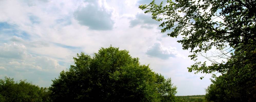 
            Фотография Демина