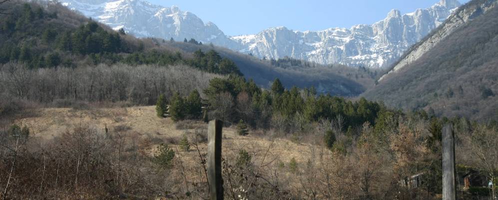 
            Фотография Люмбена