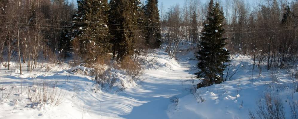 
            Фотография Починка Демина