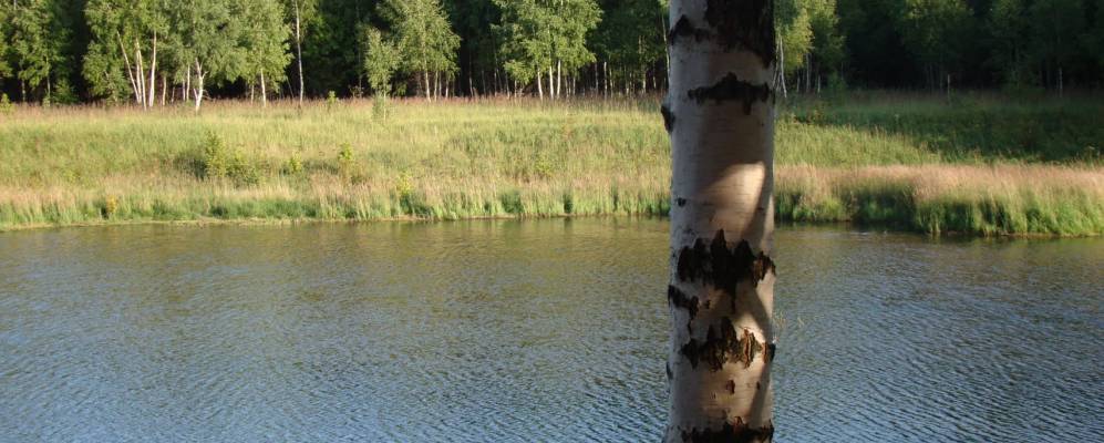 Фотография Алесово