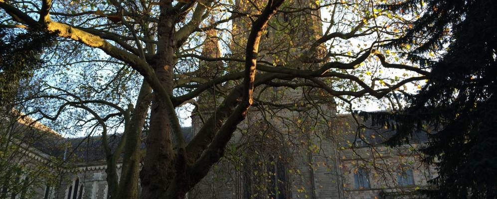 
            Фотография Вустера