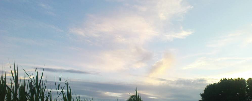 Фотография Шамшино