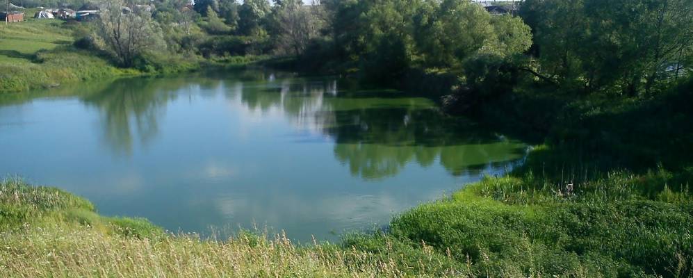 
            Фотография Моисеевки