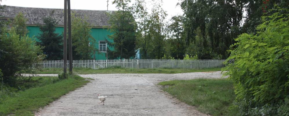 
            Фотография Дацки