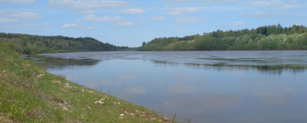 
            Фотография Рогозяты