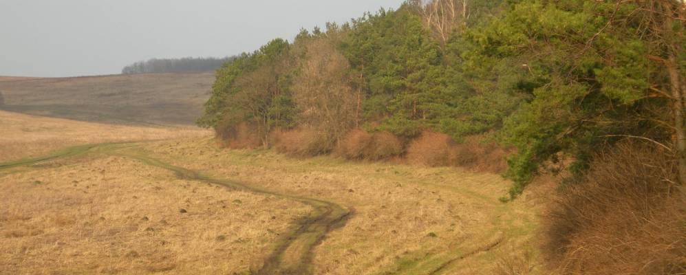 
            Фотография Кудобинцы