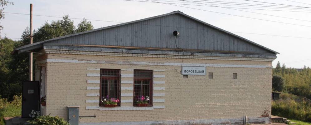 
            Фотография Ширипино