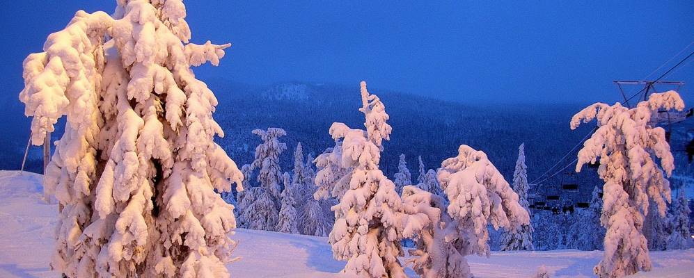 
            Фотография Рука