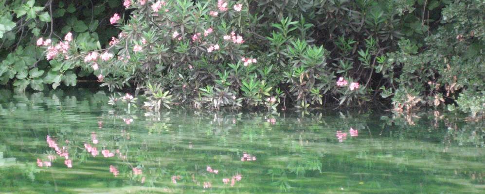 
            Фотография Монтанехоса