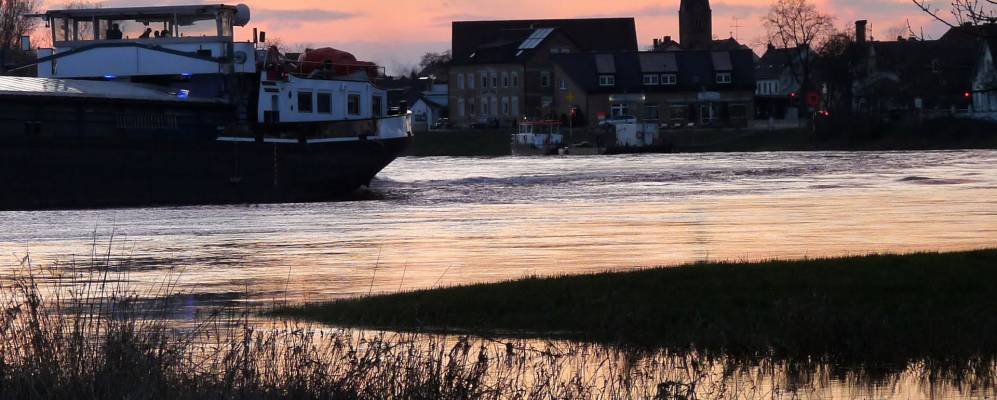 
            Фотография Листерферду