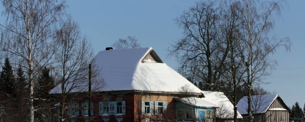 
            Фотография Долматихи