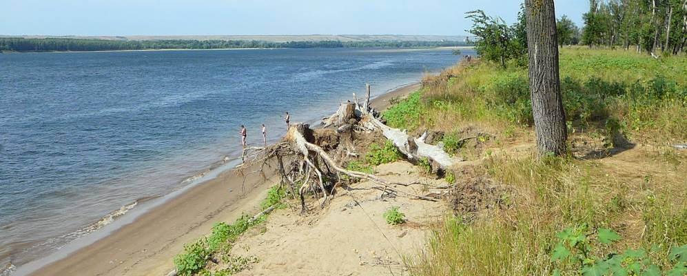 Фотография Лесного