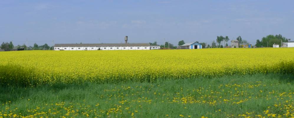 Фотография деревни Волоты